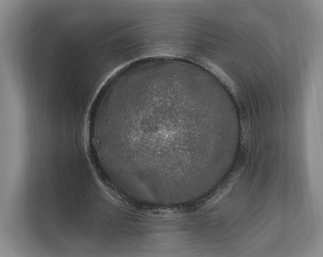 X0000112020580200908171432