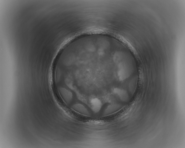 X0000112020582200908171432