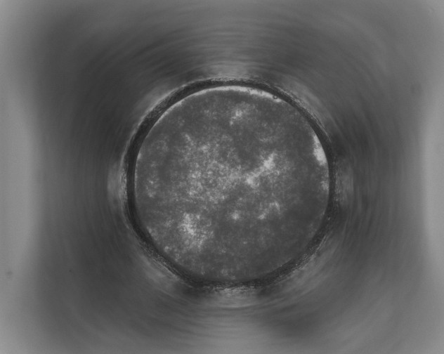 X0000112020584200908171432