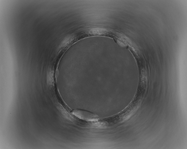 X0000112020585200908171432