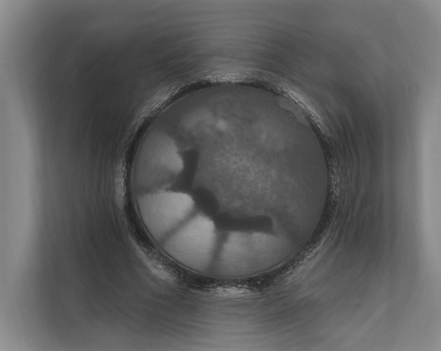 X0000112020586200908171432