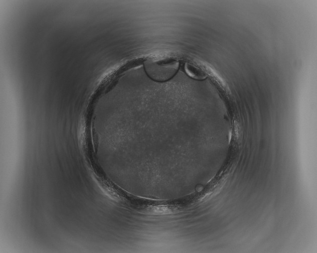 X0000112020588200908171432