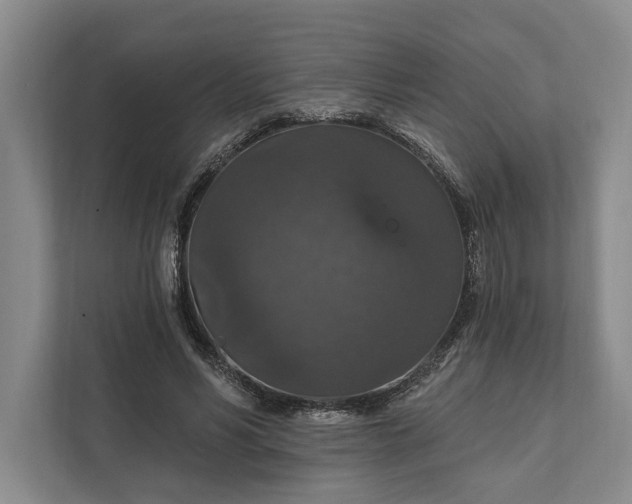 X0000112020590200908171432