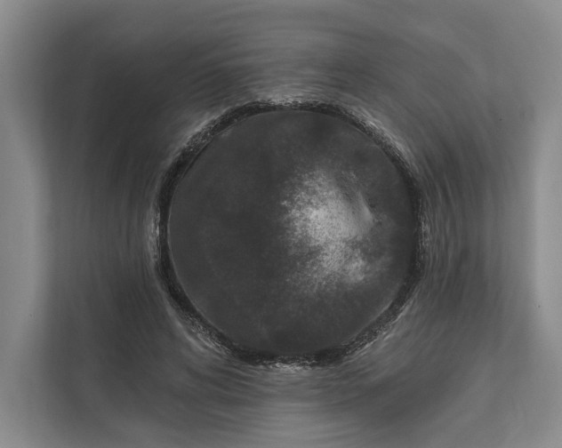 X0000112020592200908171431