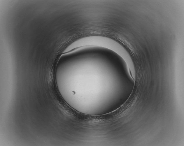 X0000112020593200908171431