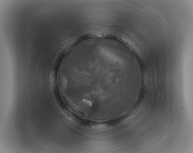 X0000112020594200908171431