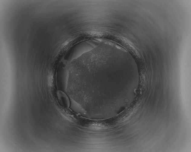 X0000112020596200908171431