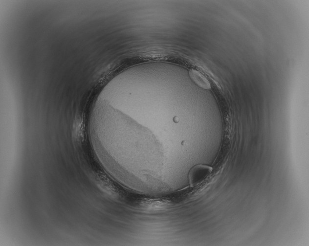 X0000112020597200908171431