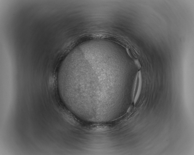 X0000112020601200908171431