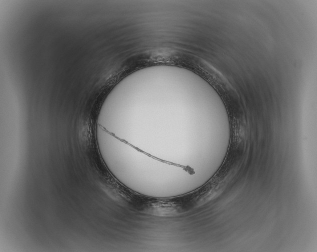 X0000112020603200908171431