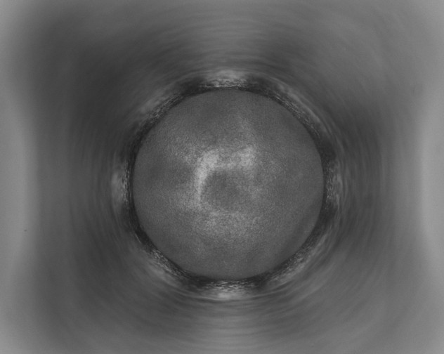 X0000112020604200908171431