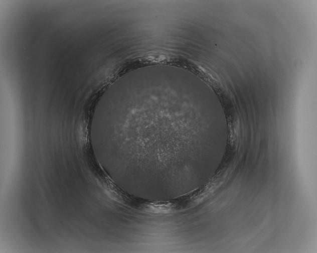 X0000112020606200908171431