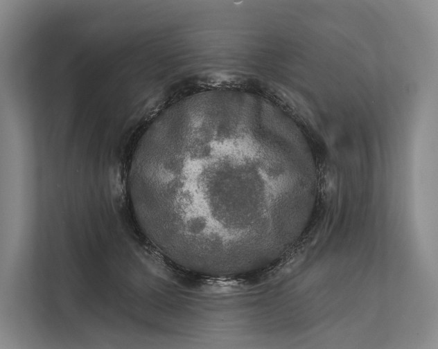 X0000112020607200908171431