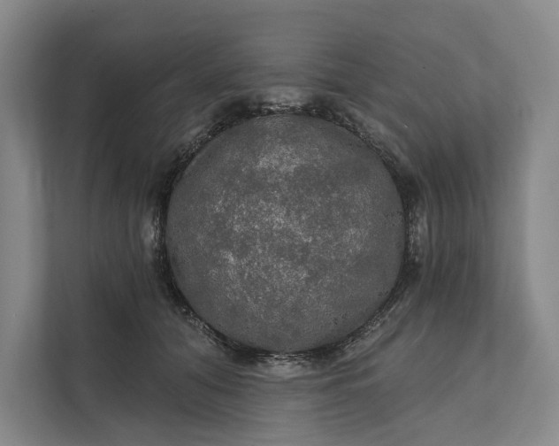 X0000112020608200908171431