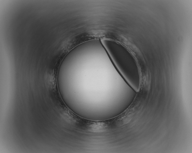 X0000112020609200908171431