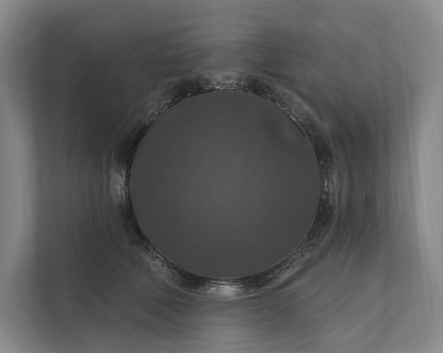 X0000112020610200908171431