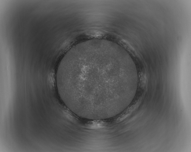 X0000112020612200908171431