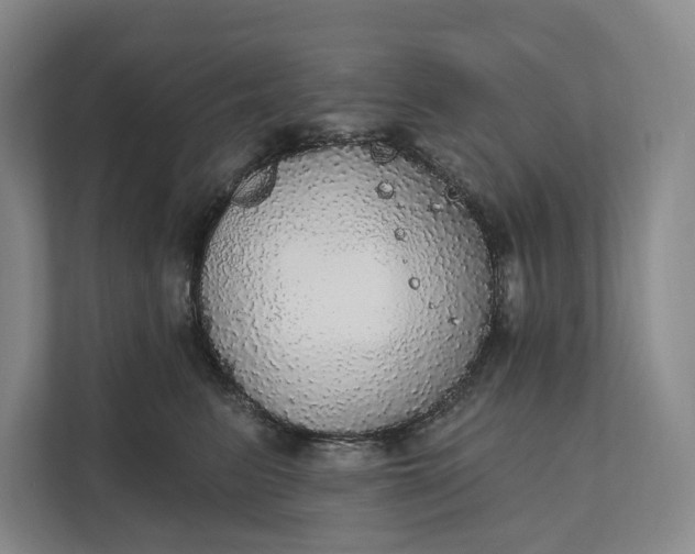 X0000112020615200908171431