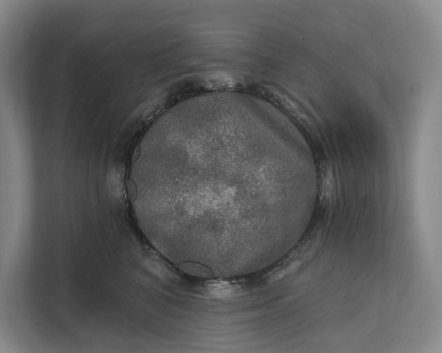 X0000112020616200908171431