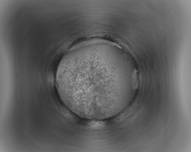 X0000112020617200908171431