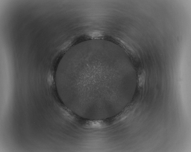 X0000112020618200908171431