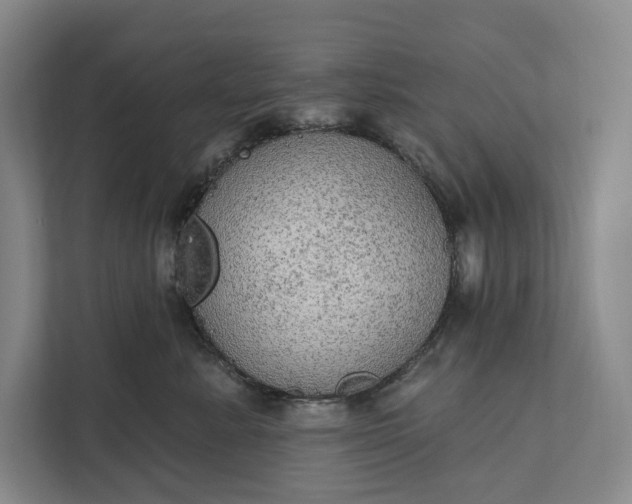 X0000112020619200908171431