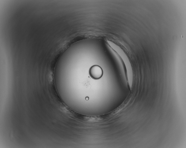 X0000112020621200908171431