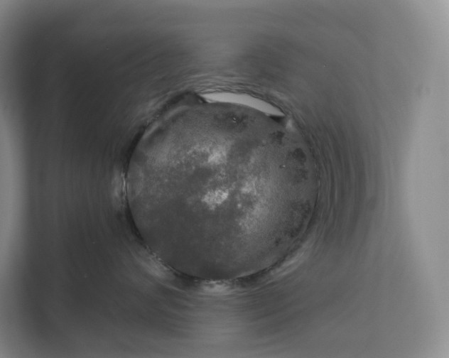 X0000112020624200908171431