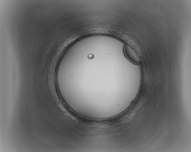 X0000112020625200908171430