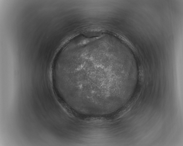 X0000112020626200908171430