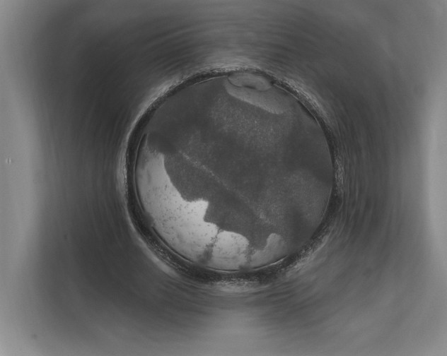 X0000112020630200908171430