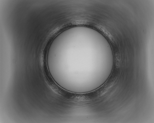 X0000112020631200908171431