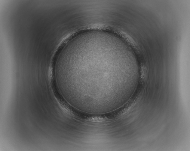 X0000112020636200908171431