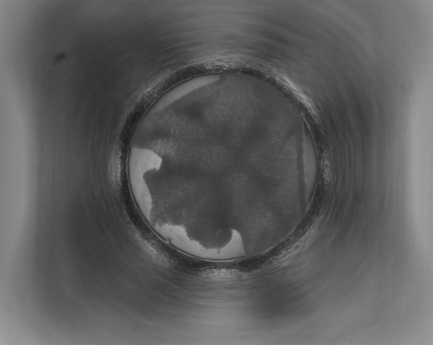 X0000112020637200908171431