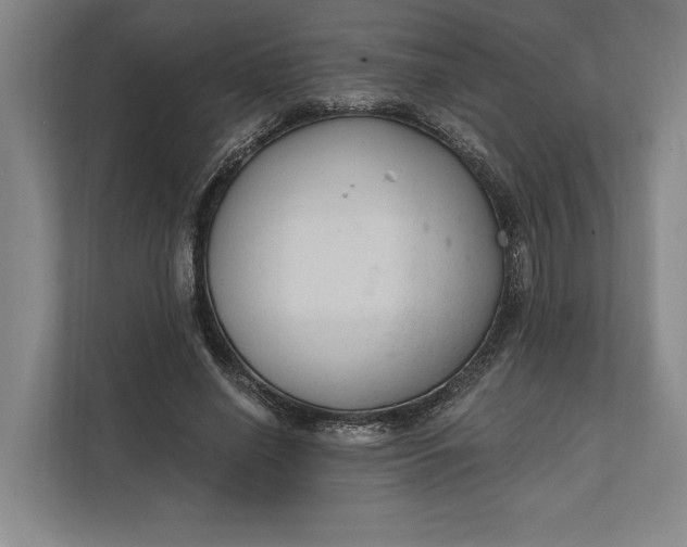 X0000112020638200908171431