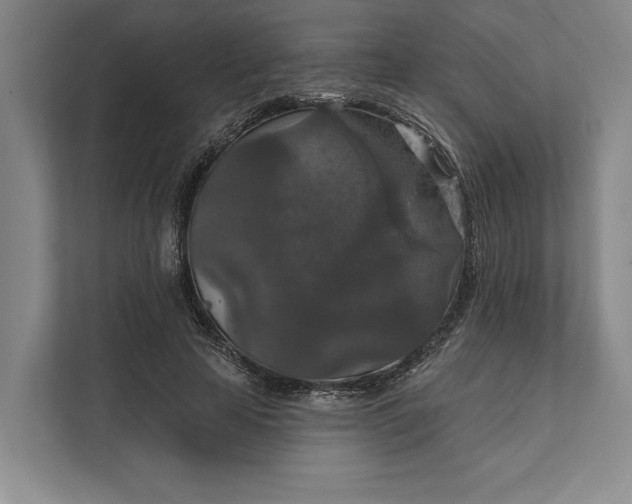 X0000112020641200908171431