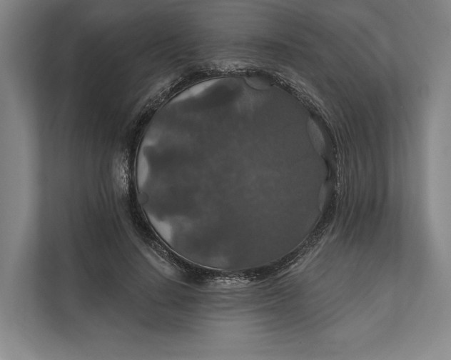 X0000112020644200908171431