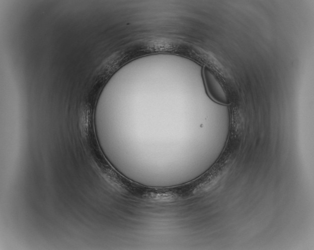 X0000112020645200908171431