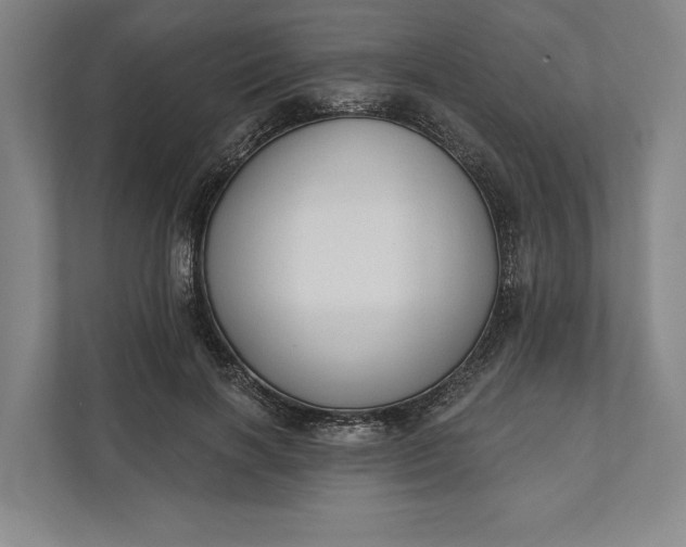 X0000112020646200908171431