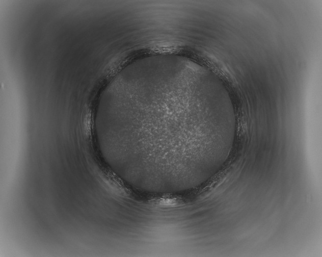 X0000112020647200908171431