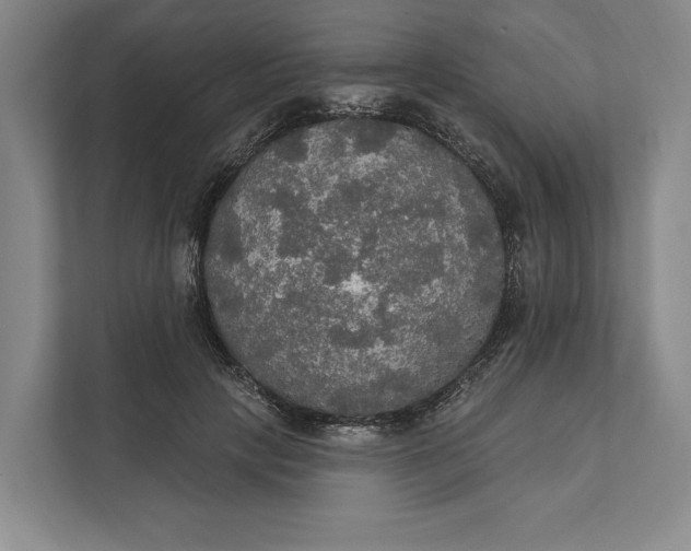 X0000112020649200908171431