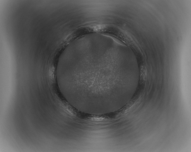 X0000112020650200908171431