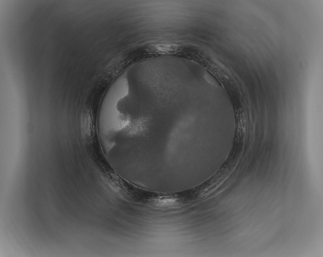 X0000112020651200908171431