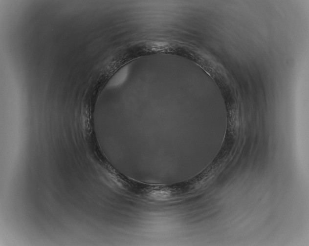 X0000112020653200908171431