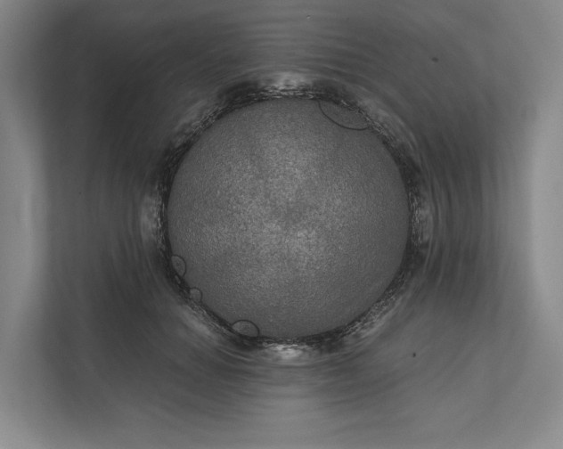 X0000112020654200908171431