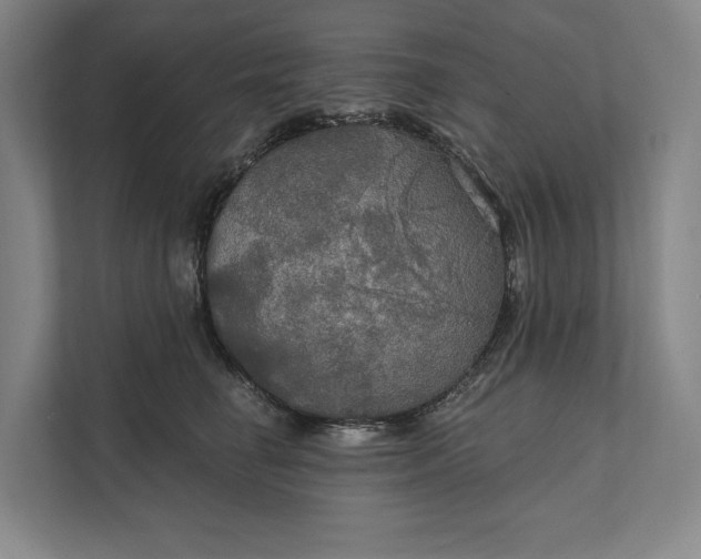 X0000112020662200908171431