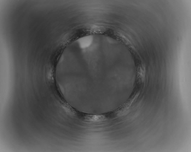 X0000112020663200908171431