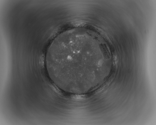 X0000112020664200908171431