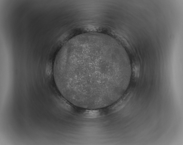 X0000112020665200908171431