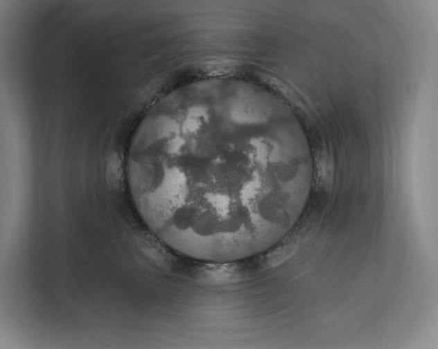 X0000112020667200908171431